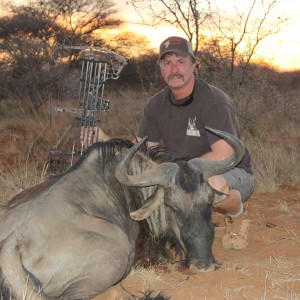 Blue Wildebeest Limcroma Safaris 2015