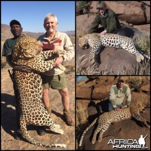 Leopard Hunt Namibia