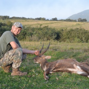 Big Cape Bushbuck