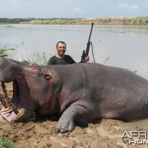 Hippo Hunt Tanzania