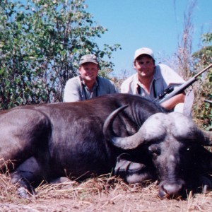 Terry Wagner Cape Buffalo - Zimbabwe