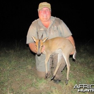 East African Bush Duiker Hunted in Uganda
