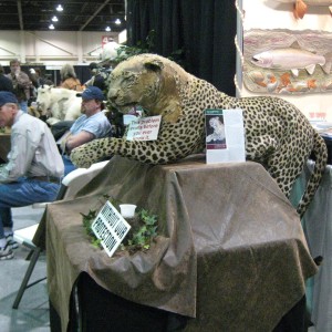 Safari Club International Convention - SCI