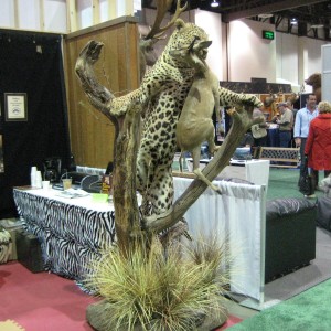 Safari Club International Convention - SCI