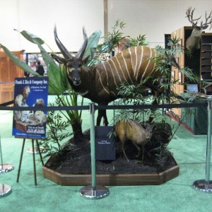 Safari Club International Convention - SCI