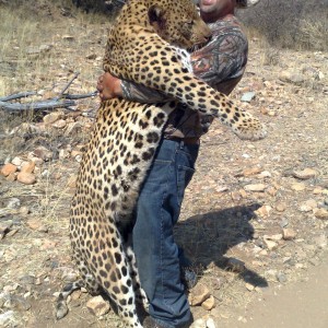 Another Namibian Monster tracked by Sparks Hounds