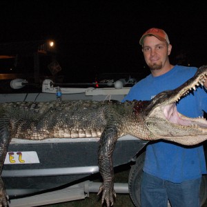 Texas Gator