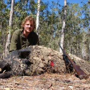 Trophy Boar Hunted in Australia