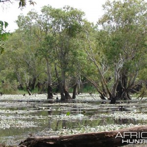 Scenery Arnhemland, Australia