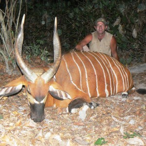 26 inches Bongo hunted in CAR