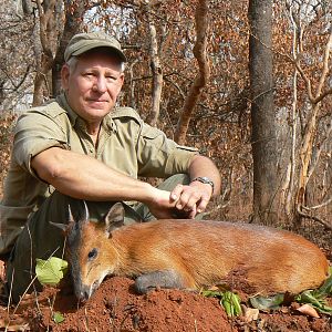 Red flanked duiker hunted in CAR