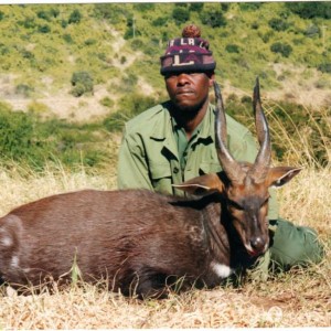 Bushbuck - Free range Mankazana Valley