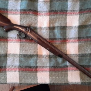 My 10 bore rifle