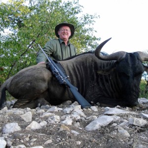 Blue wildebeest Namibia 2013