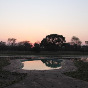 Dendro Park camp in Zambia