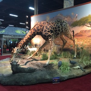 Taxidermy at Safari Club International Convention