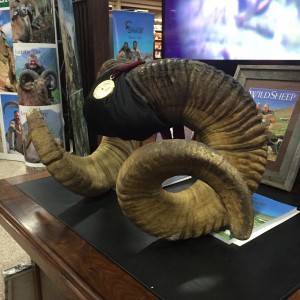 Taxidermy at Safari Club International Convention