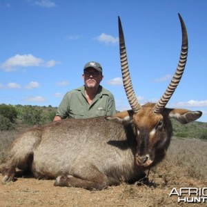 Beautiful Waterbuck Trophy