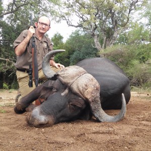 My first big game in South Africa- Buffalo
