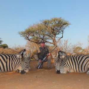 Zebra hunted with Limcroma Safaris