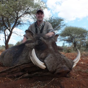 Warthog hunted with Limcroma Safaris