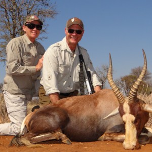Blesbok with Limcroma Safaris