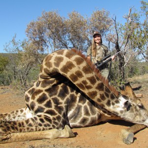 Giraffe with Limcroma Safaris