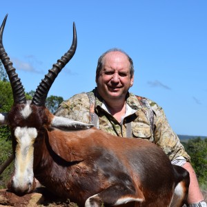 Blesbok