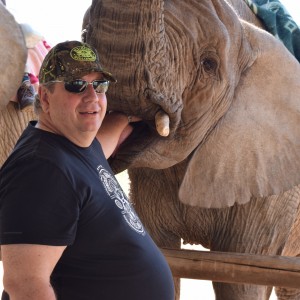 Feeding Elephant