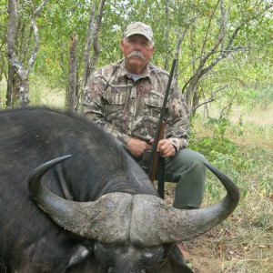 Zimbabwe Buffalo Bull