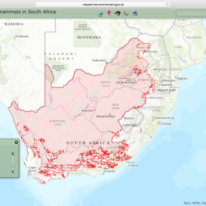 Springbok Distribution Map South Africa