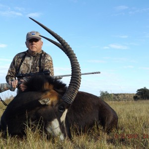 Sable Hunt   in  Waterberg  Mountains