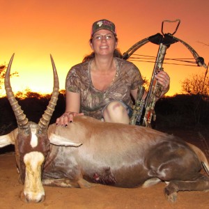 Limcroma Safaris crossbow blesbok