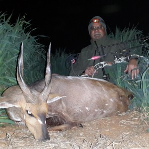 Limpopo Bushbuck with Limcroma Safaris