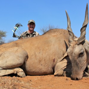 Limcroma Safaris archery eland bull