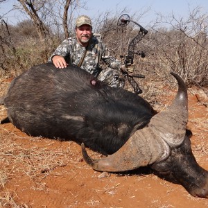 Limcroma Safaris archery cape buffalo