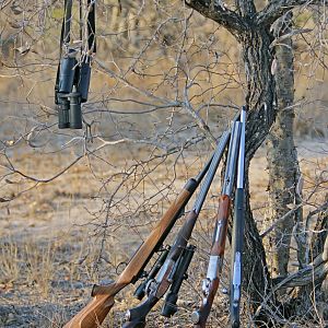 Buffalo safari weapons, 1 x 470, 1 x 500 nitro and 2x 458 lott
