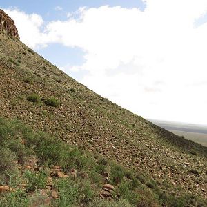 Barbary Sheep Hunt