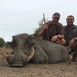 Warthog Hunting with Pro Hunting Safaris