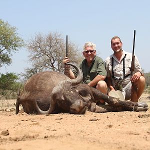 Buffalo Cow Hunting with Pro Hunting Safaris