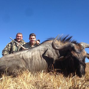 Blue Wildebeest Hunting with Pro Hunting Safaris