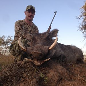Warthog Hunting with Pro Hunting Safaris