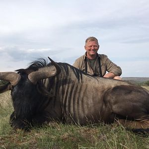 Blue Wildebeest Hunting South Africa