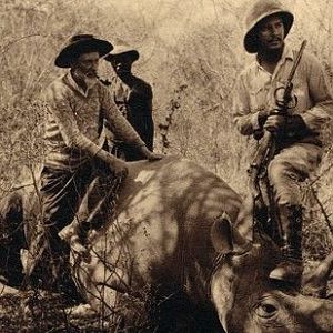 Africa Rhino Hunt