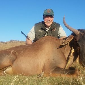 South Africa Hunt Tsessebe