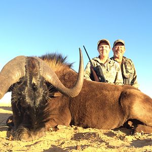 Hunting South Africa Black Wildebeest