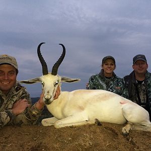 White Springbuck Hunt South Africa