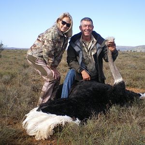 Hunting Ostrich in South Africa