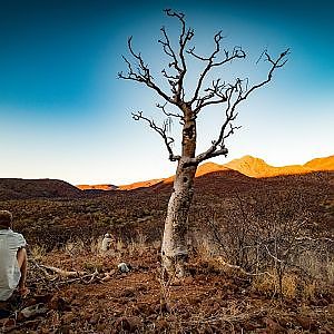 NAMIBIA: Erongo - Hunting the Grey Ghost of the Mountain