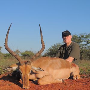 Cull Hunting South Africa Impala